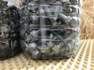 Болты VW Touran 2010-2016 (N91196101 N10211202 N91047502 N10170804) — фото 4