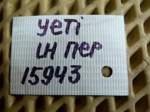 Суппорт тормозной передний левый Skoda Yeti 2009-2018,A2 [8Z0] 2000-2005,A3 (8L1) 1996-2003,Octavia (A4 1U-) 2000-2011,Toledo II 1999-2006,Octavia 1997-2000,Golf IV/Bora 1997-2005,A3 [8PA] Sportback 2004-2013,Fabia 1999-2006,A3 [8P1] 2003-2013 (1K0615123D) — фото 8