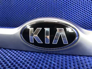 Накладка двери багажника Kia Seltos 2019 - — фото 2