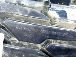 Решетка радиатора Kia K5 (2019) — фото 12