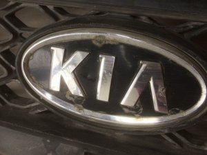 Решетка радиатора Kia Rio (2005-2009) — фото 3