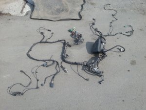 Проводка двигателя Ford C-MAX (2003-2007) — фото 3