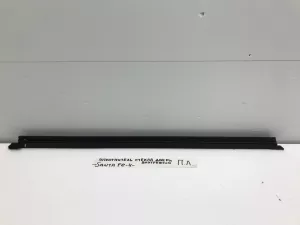 Уплотнитель стекла двери передней левой Hyundai Santa Fe (2018-2022) — фото 1