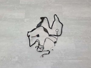 Проводка двери задняя Bmw 5 G30 B47D20B 2019 — фото 2