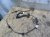 проводка двери задней левой на Nissan Almera G15