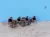 Коллектор выпускной на Kia Ceed ED