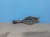Рычаг задний на Kia Ceed ED