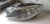 Фара левая на Volkswagen Passat CC B6